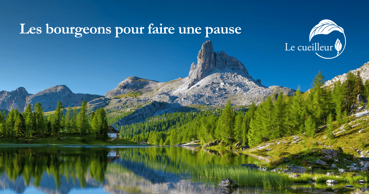 les bourgeons pour faire une pause
